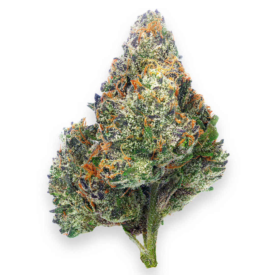 Boutique Exotics - Coffin Candy - 14 Grams - Hybrid - Image 2