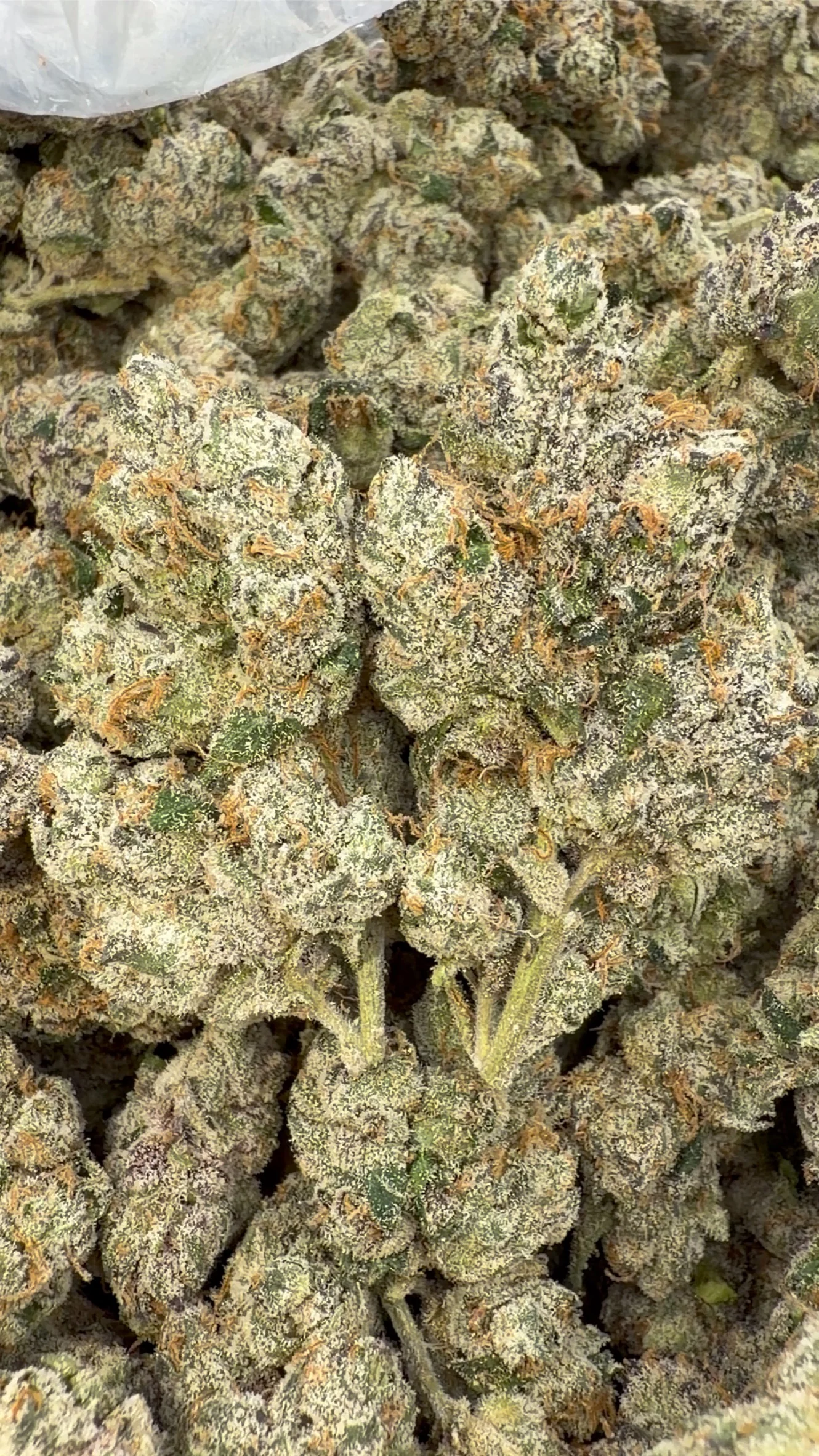 Elite Boutique Exotics Dirty Sprite - Bulk - Hybrid